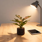 Decorative Artificial Desk Plant