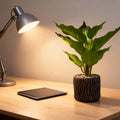 Decorative Artificial Desk Plant