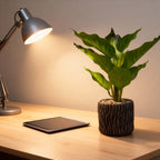 Decorative Artificial Desk Plant